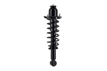 Suspension Strut and Coil Spring Assembly