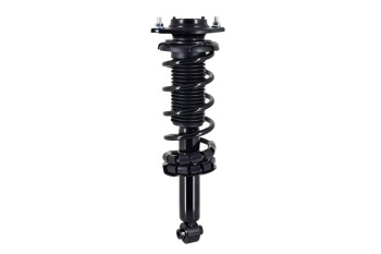 Suspension Strut and Coil Spring Assembly