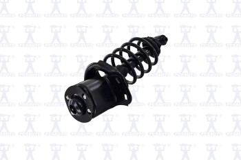 Suspension Strut and Coil Spring Assembly