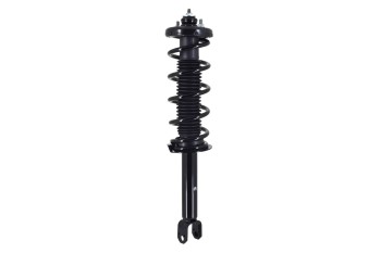 Suspension Strut and Coil Spring Assembly