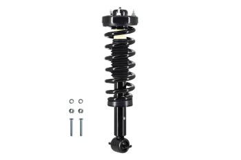 Suspension Strut and Coil Spring Assembly