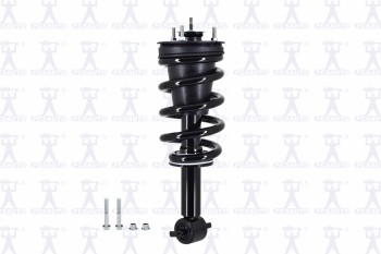 Suspension Strut and Coil Spring Assembly