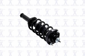 Suspension Strut and Coil Spring Assembly