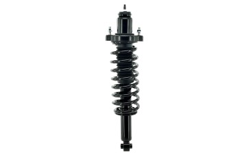 Suspension Strut and Coil Spring Assembly