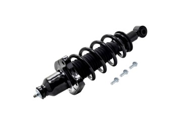Suspension Strut and Coil Spring Assembly