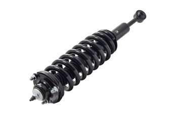 Suspension Strut and Coil Spring Assembly