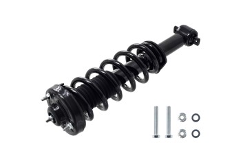 Suspension Strut and Coil Spring Assembly