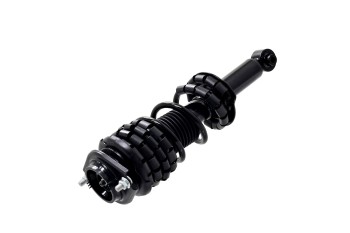 Suspension Strut and Coil Spring Assembly