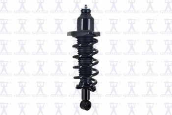 Suspension Strut and Coil Spring Assembly