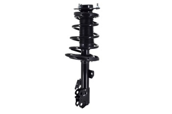 Suspension Strut and Coil Spring Assembly