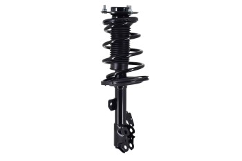 Suspension Strut and Coil Spring Assembly