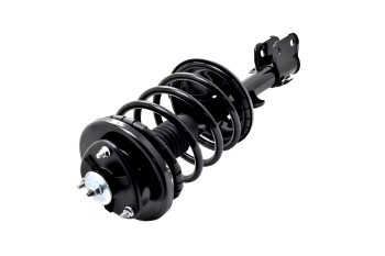 Suspension Strut and Coil Spring Assembly