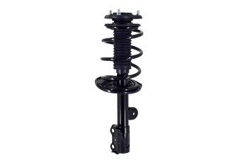 Suspension Strut and Coil Spring Assembly