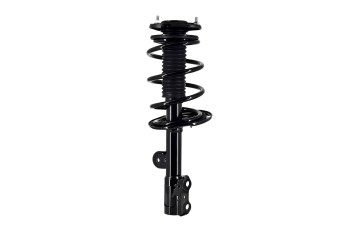 Suspension Strut and Coil Spring Assembly