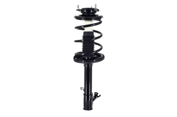 Suspension Strut and Coil Spring Assembly