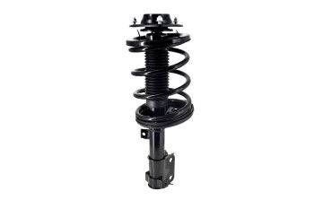 Suspension Strut and Coil Spring Assembly