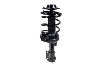 Suspension Strut and Coil Spring Assembly