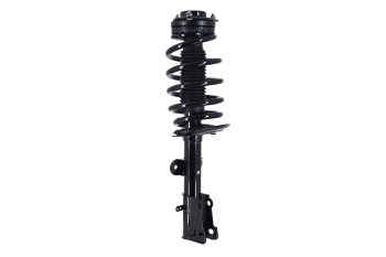 Suspension Strut and Coil Spring Assembly