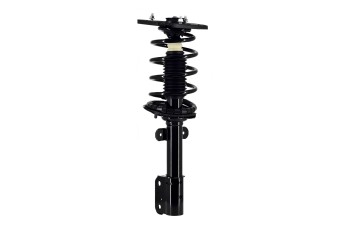 Suspension Strut and Coil Spring Assembly