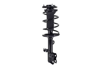 Suspension Strut and Coil Spring Assembly