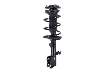 Suspension Strut and Coil Spring Assembly