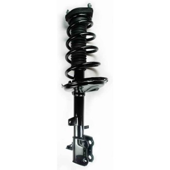 Suspension Strut and Coil Spring Assembly