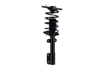 Suspension Strut and Coil Spring Assembly