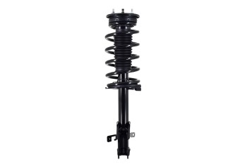 Suspension Strut and Coil Spring Assembly