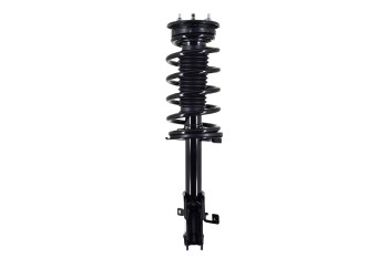 Suspension Strut and Coil Spring Assembly