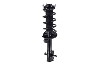 Suspension Strut and Coil Spring Assembly