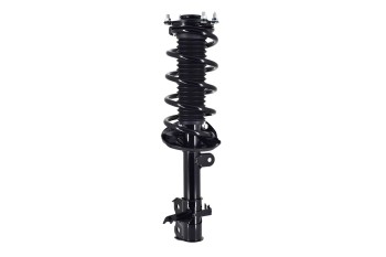 Suspension Strut and Coil Spring Assembly