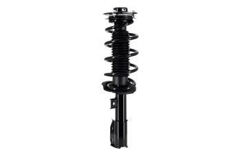 Suspension Strut and Coil Spring Assembly