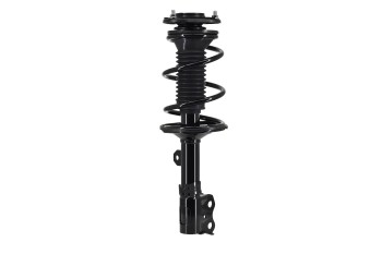 Suspension Strut and Coil Spring Assembly