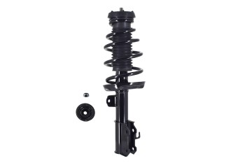 Suspension Strut and Coil Spring Assembly