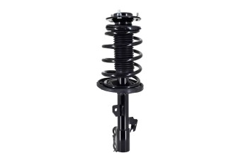 Suspension Strut and Coil Spring Assembly