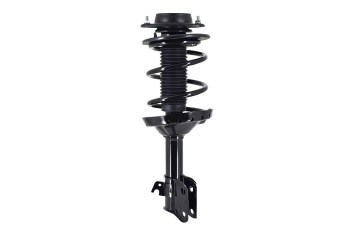 Suspension Strut and Coil Spring Assembly