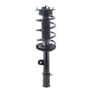 Suspension Strut and Coil Spring Assembly