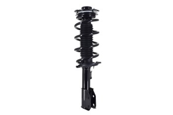 Suspension Strut and Coil Spring Assembly