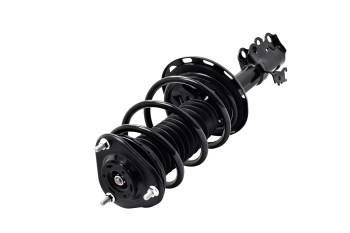 Suspension Strut and Coil Spring Assembly