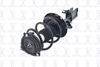Suspension Strut and Coil Spring Assembly