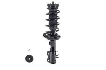 Suspension Strut and Coil Spring Assembly