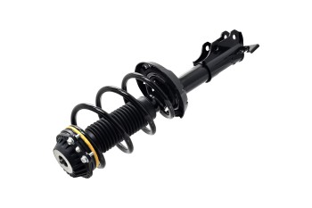 Suspension Strut and Coil Spring Assembly