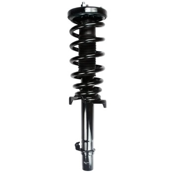 Suspension Strut and Coil Spring Assembly