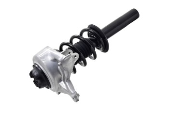 Suspension Strut and Coil Spring Assembly