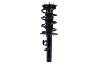 Suspension Strut and Coil Spring Assembly