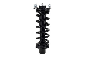 Suspension Strut and Coil Spring Assembly