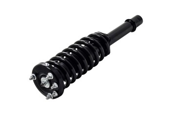 Suspension Strut and Coil Spring Assembly