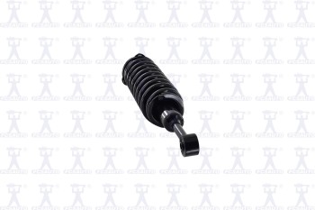 Suspension Strut and Coil Spring Assembly