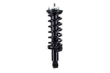 Suspension Strut and Coil Spring Assembly