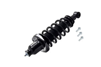 Suspension Strut and Coil Spring Assembly